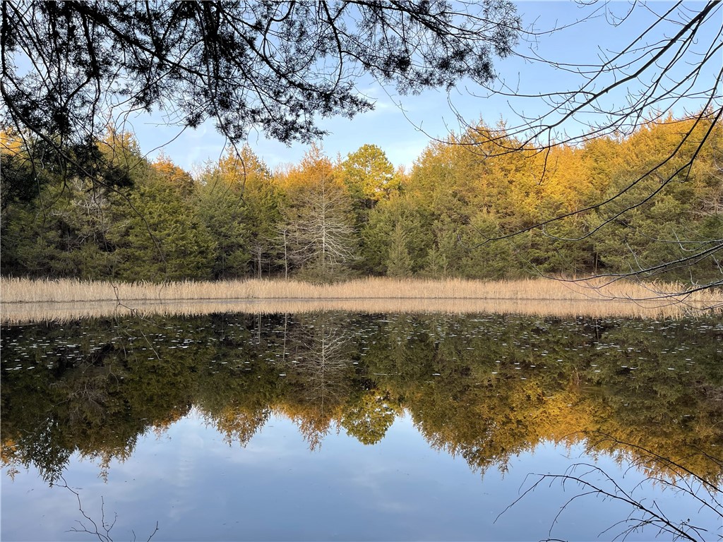 Imagine waking up to deer, rabbits, birds and all types of nature in your backyard everyday? This 41.41 acres +/- has mature trees, picturesque ponds and year round creeks so the calm and peacefulness of water will surround you. Neighboring land has horses for you to enjoy as well. Prime location to build your dream home, as this property has several different build sites or split the land and invite family and friends to build with you. Two established driveways with culverts exist and a small metal building.
You're an investor looking for land to build spec homes or a subdivision? The land is only 20 minutes to Fayetteville and less than 20 mins to Huntsville and Springdale, so a goldmine of a location for a new subdivision for families needing to be close, but still live in the country.
Hunting is your thing; well this acreage is full of wildlife and has a few trails and drives to build a hunting cabin. Fish in the ponds, play in the creeks and hunt the land....aka the perfect land for the outdoor enthusiasts.