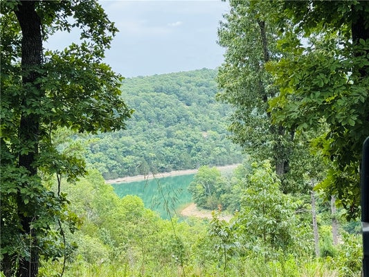 CR 150 BLACKBERRY & GLEN HAVEN LANE, EUREKA SPRINGS, AR 72631 - Image bbab2a3c8aebc86bf907511292eca0e8/1955362266