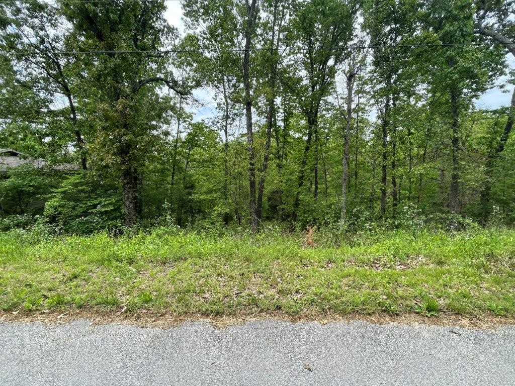 Great subdivision lot available only 2 minutes away from Lake Avalon and The Beach at Lake Avalon. Peaceful and quiet area to take in all the beauty and nature that NWA has to offer!