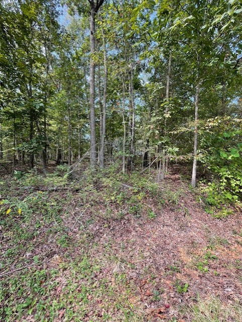 Nice level building lot in area of newer homes. Paved road 1.3 mi to Branchwood rec center. 2 miles to Stoneykirk park