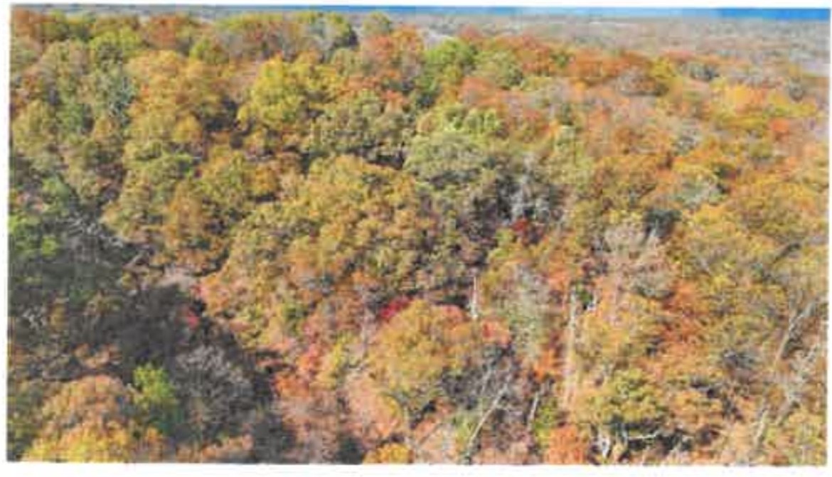 Padbury Sub Bvv - Land