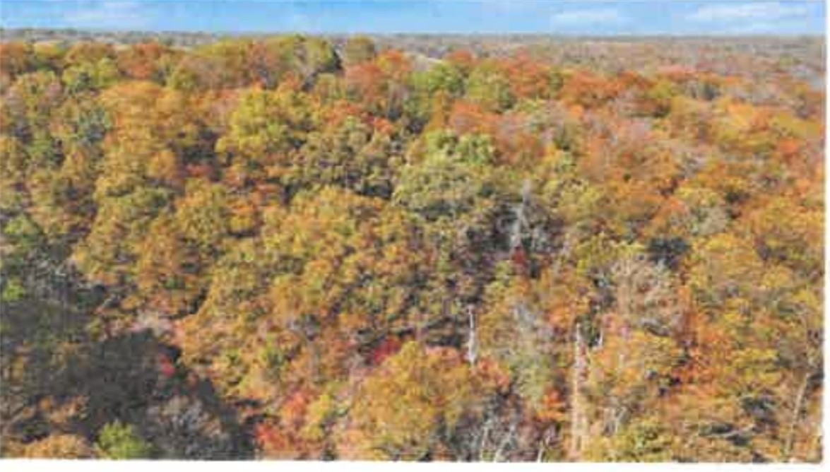 Padbury Sub Bvv - Land