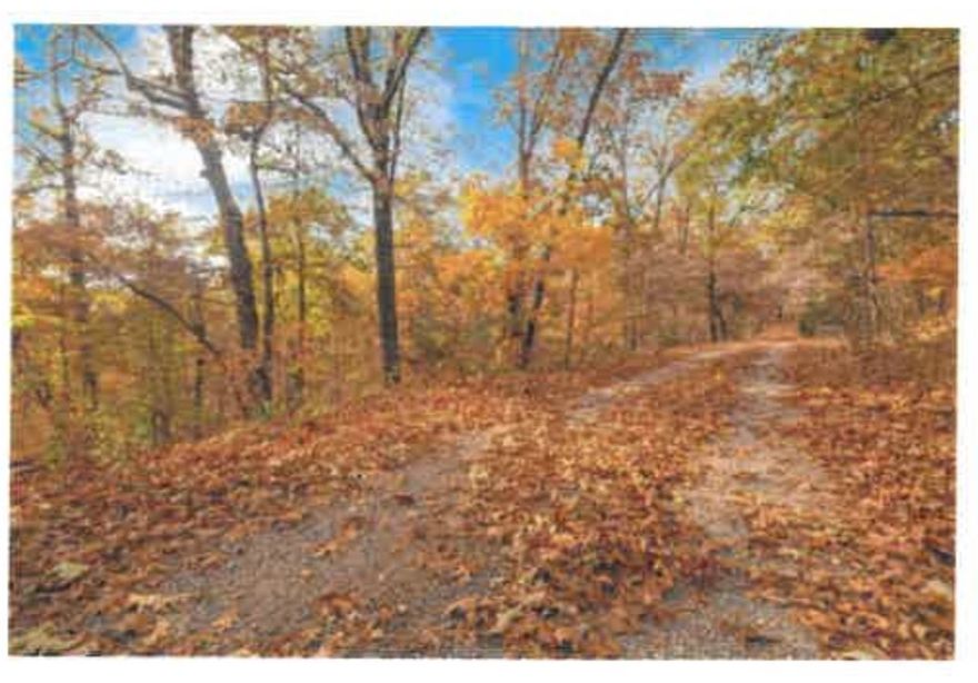 1.26 acre lot in Bella Vista!! Perfect location and sizeable lot to build your dream home! Close to Lake Windsor, biking trails, Tanyard Creek and I49!