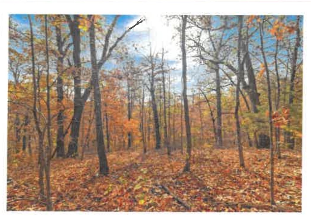 Padbury Sub Bvv - Land