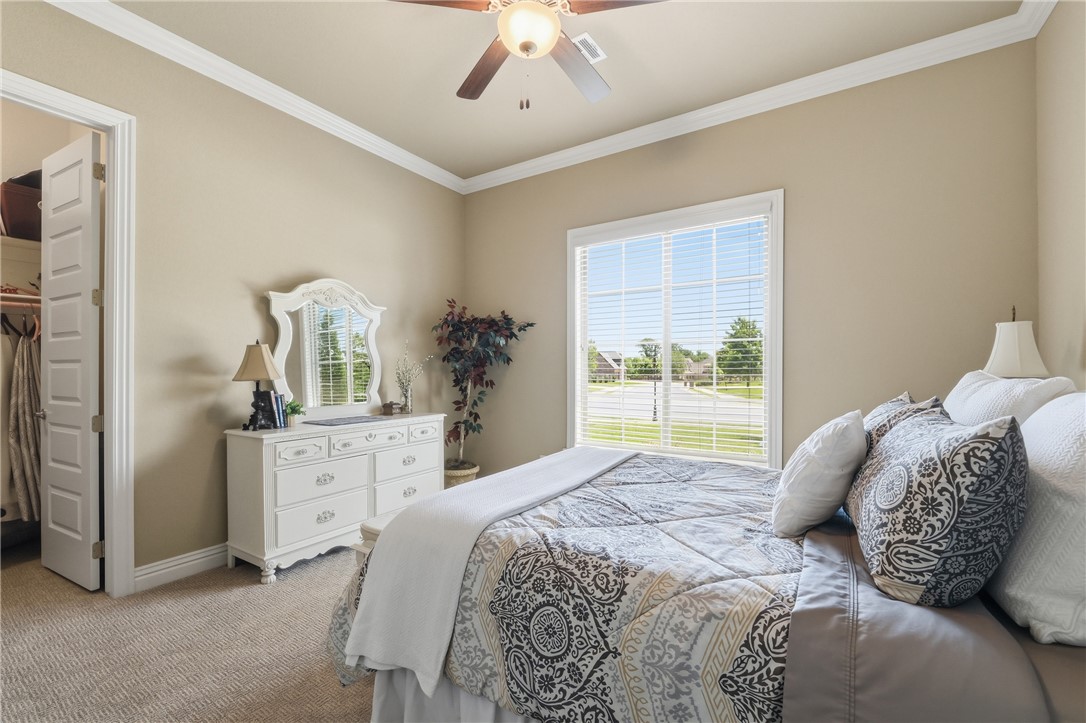 Oak Tree - Residential