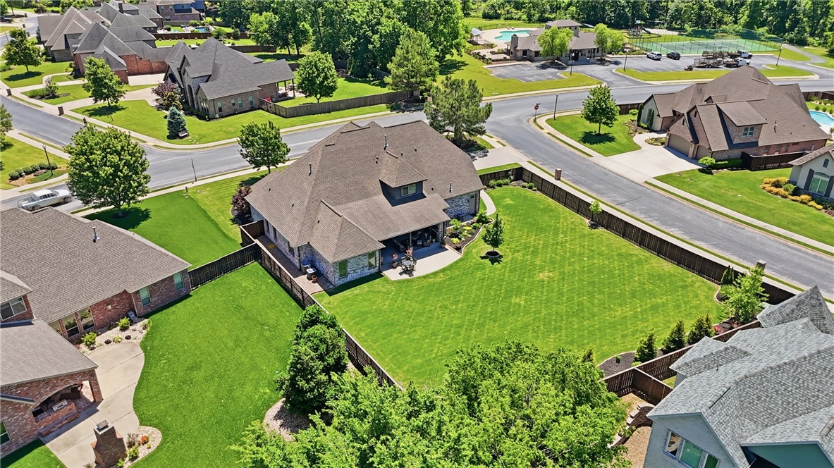Oak Tree - Residential
