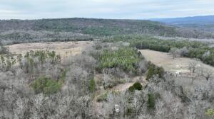 This 20+/- ac property offers incredible potential with scenic views with a little clearing. Electric access is conveniently available at the street, ensuring easy connection to utilities. The expansive acreage provides privacy and space for outdoor activities, while also offering the opportunity to enjoy beautiful vistas. With its prime location and natural beauty, this property is perfect for someone looking to build a secluded retreat or invest in land with great long-term value.