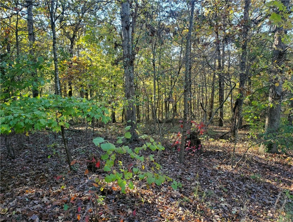 Come build your dream home here! Over an acre of buildable land with mature trees in a small established neighborhood. Nestled at the end of the street, this lot provides a country feel while still being within walking distance to the high school!
4 minutes to Gravette High School; 5 minutes to Harps Food Store; 25 minutes to Downtown Bentonville; 30 minutes to XNA.