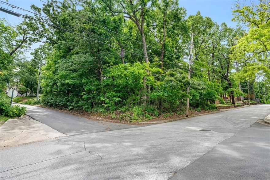 WHAT...A corner Lot at Wilson Park ? Build your forever home and have the oh so rare opportunity to live on the corner of Park and Louise. Lot is in the Oak Grovedrakes Rep. and includes 5 foot easement associated with adjacent lot directly to the east (625 Forest Ave.) which is co-owned by seller. Call list agent for details. Seller is co-owner of 625 Forest Ave. Zoned RSF-4