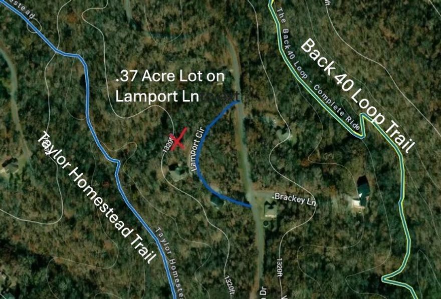 On Taylor Homestead Mountain Bike Trail access, plus Back 40 Loop Trail across the adjacent street. Large .37 acre lot with a gentle slope. Bentonville School District. Lots of open space in this part of Bella Vista. Pavement in front of this lot. Come live your best life here!