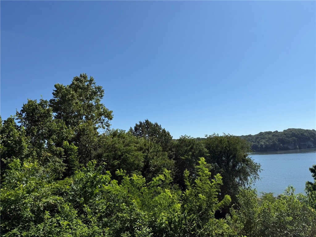 Two gorgeous partially cleared lots overlooking Beaver Lake. Lake view and lake front. Just minutes from town and all roads are paved to the property. The lot is located in a desirable neighborhood on a dead end street near private boat ramps. Not suitable for residential septic.
