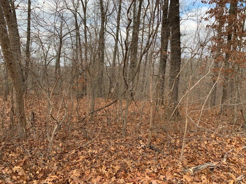 Great opportunity to own this amazing, mostly flat, buildable lot in wooded Rountree Subdivision, mere minutes to the 25 mi. Tunnel Vision Trail head with parking which is great for Mountain Biking or Trail Running. Land has an additional 48 ft of non-buildable city owned space between lots 52/53, which provides additional privacy. There are homes near it, so electric and water are at the street.