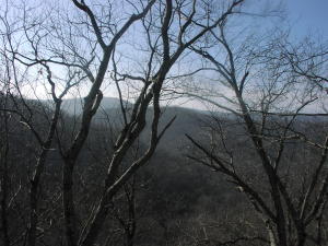 Nice secluded, remote 25 acres m/l. Connects to the National Forest. Some land cleared out for a building site. Very nice views. Creek on property as well as multiple springs. County road frontage for easy and legal access. Electric is just across the road and is accessible. Great hunting property. Big bluff line and many large trees.
