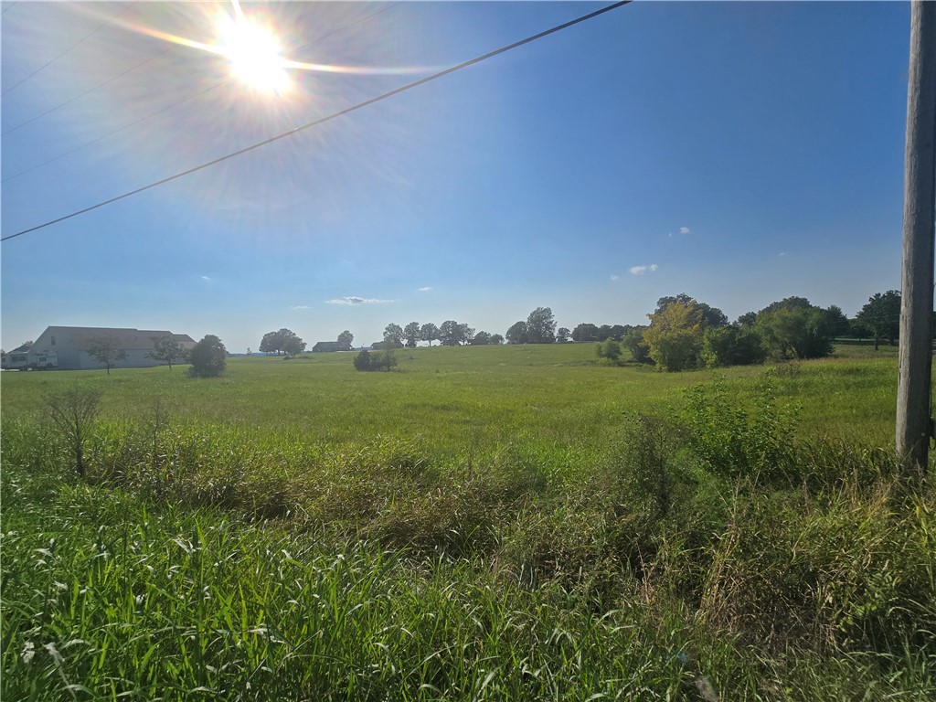What an amazing opportunity to own the perfect blend of serenity and space on 1.4 acres, nestled in a prime rural neighborhood. The property is located on well-maintained, paved roads, just moments away from Hwy 65. The topography invites creativity to build your dream home, which could include a back porch view of wildlife around your corner of a shared pond.