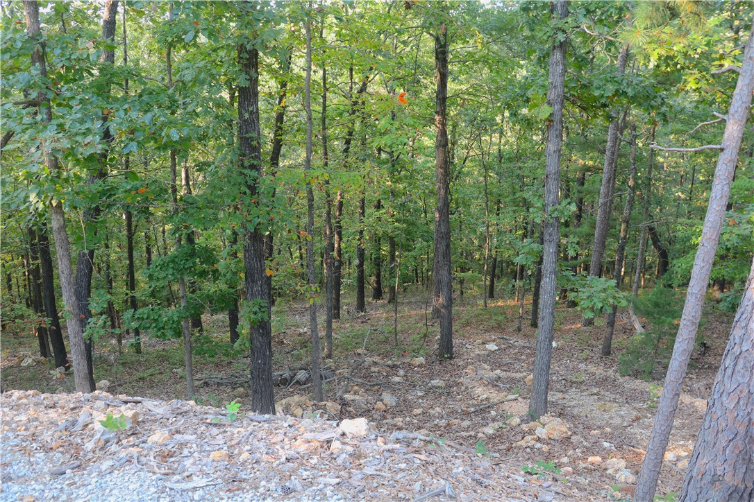 Beaver Lake Dev - Land