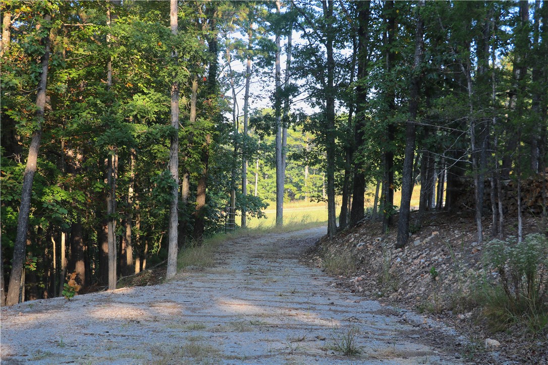 Beaver Lake Dev - Land