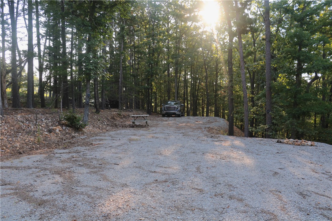 Beaver Lake Dev - Land