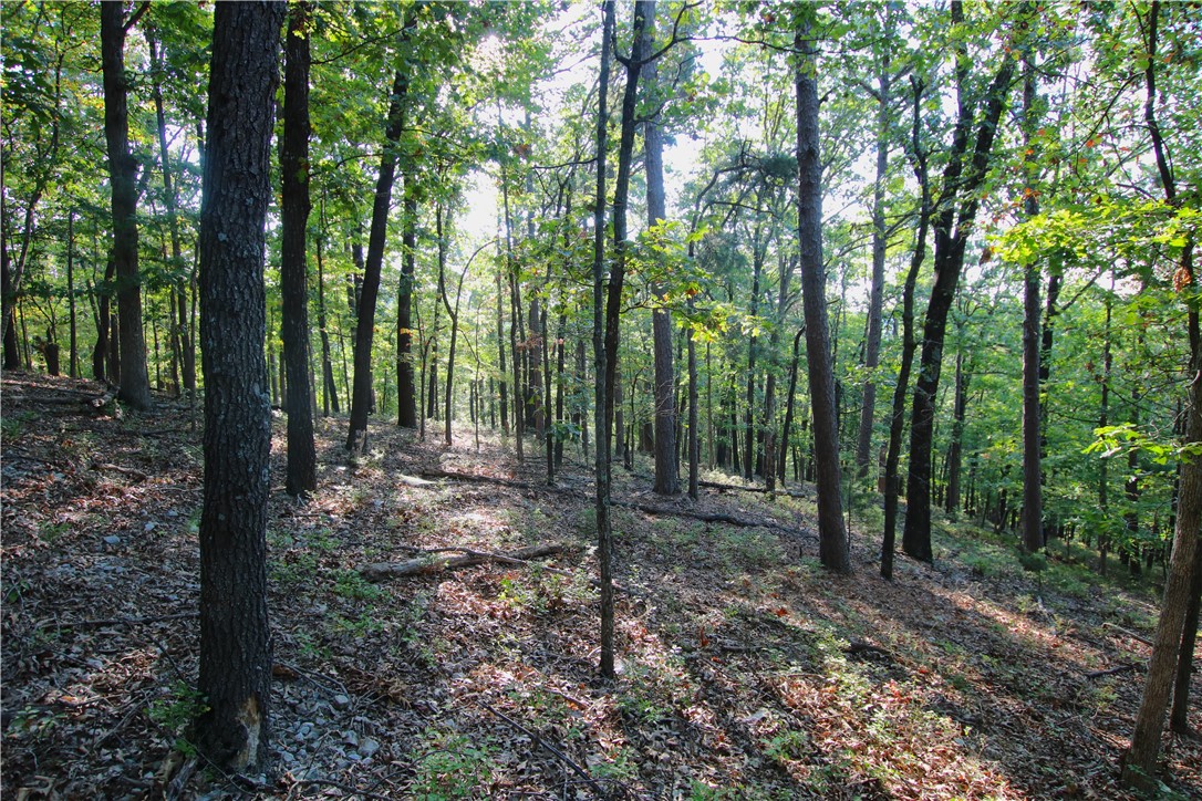 Beaver Lake Dev - Land