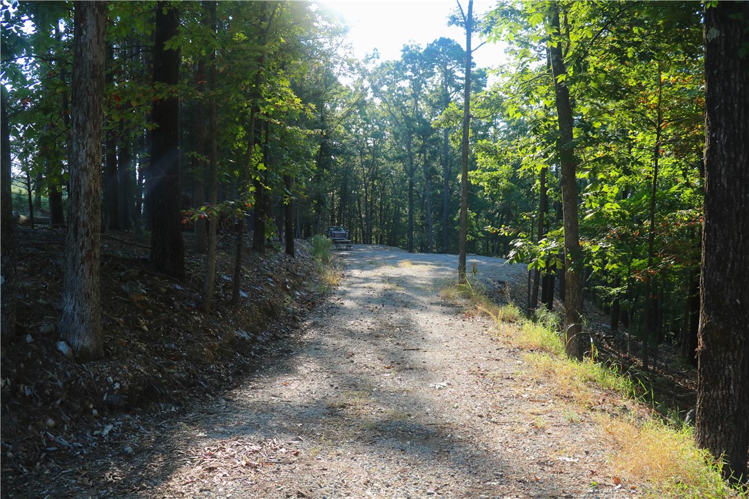 Beaver Lake Dev - Land