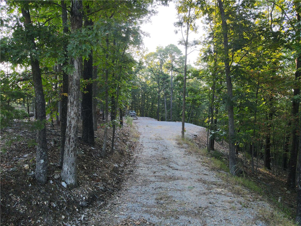 Beaver Lake Dev - Land