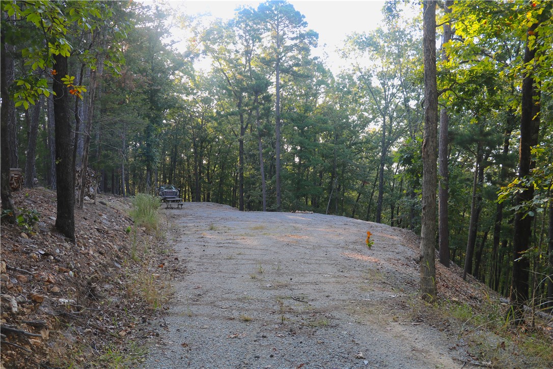 Beaver Lake Dev - Land