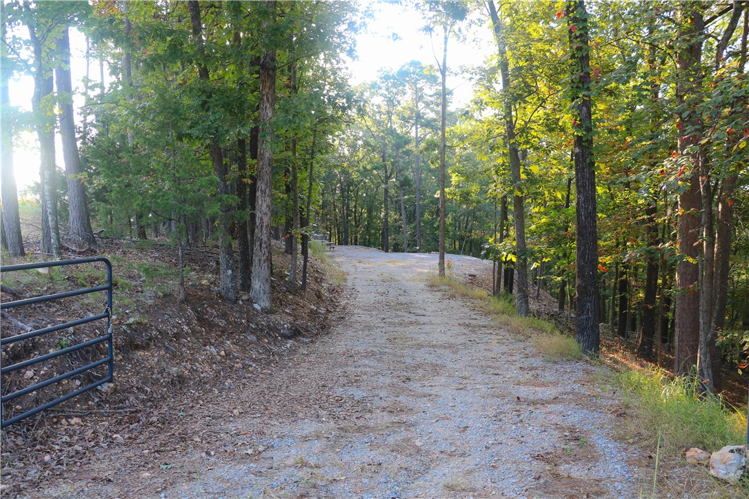 Beaver Lake Dev - Land