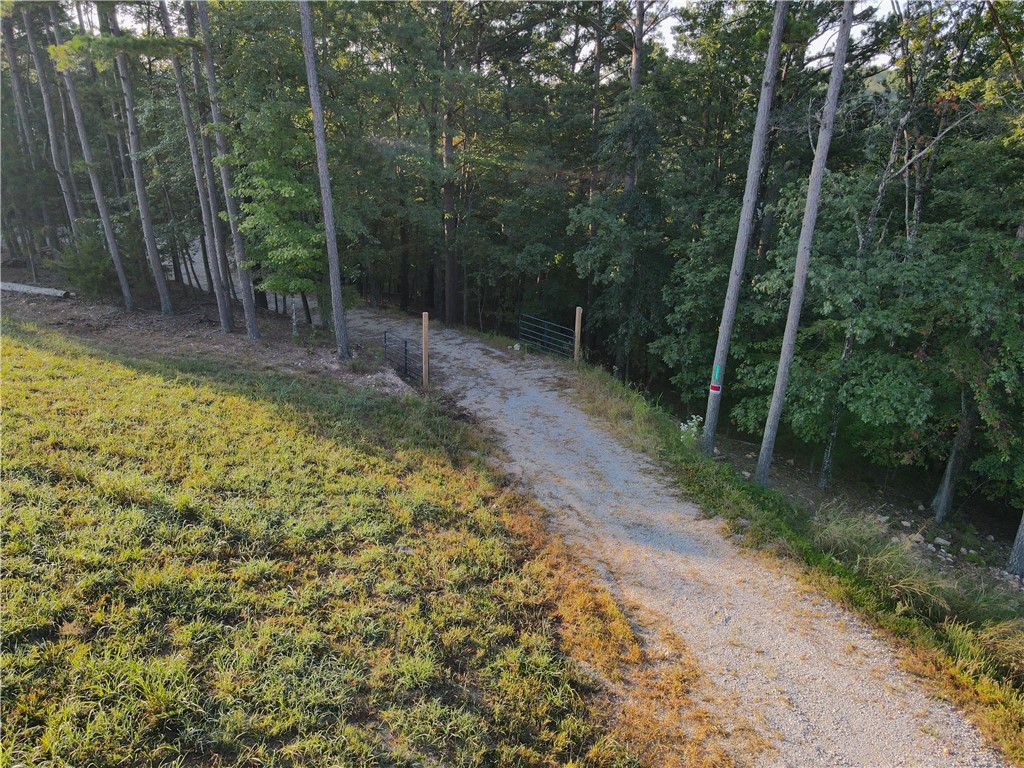 Beaver Lake Dev - Land