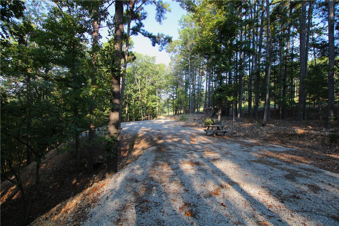 Beaver Lake Dev - Land