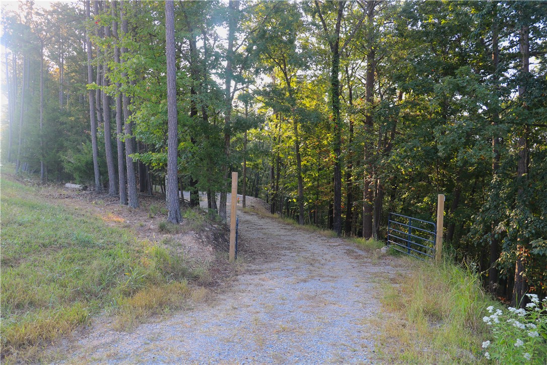 Beaver Lake Dev - Land