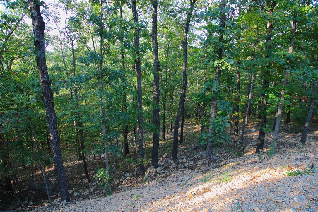 Beaver Lake Dev - Land