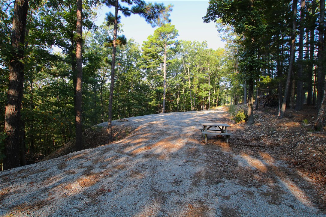 Beaver Lake Dev - Land