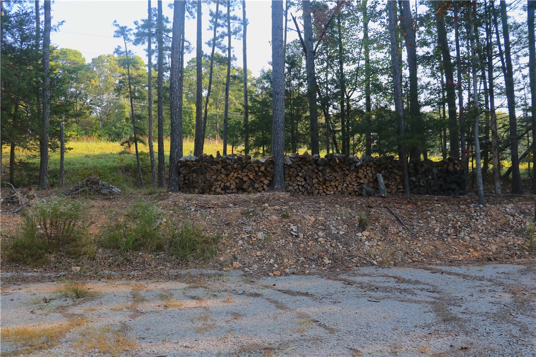 Beaver Lake Dev - Land