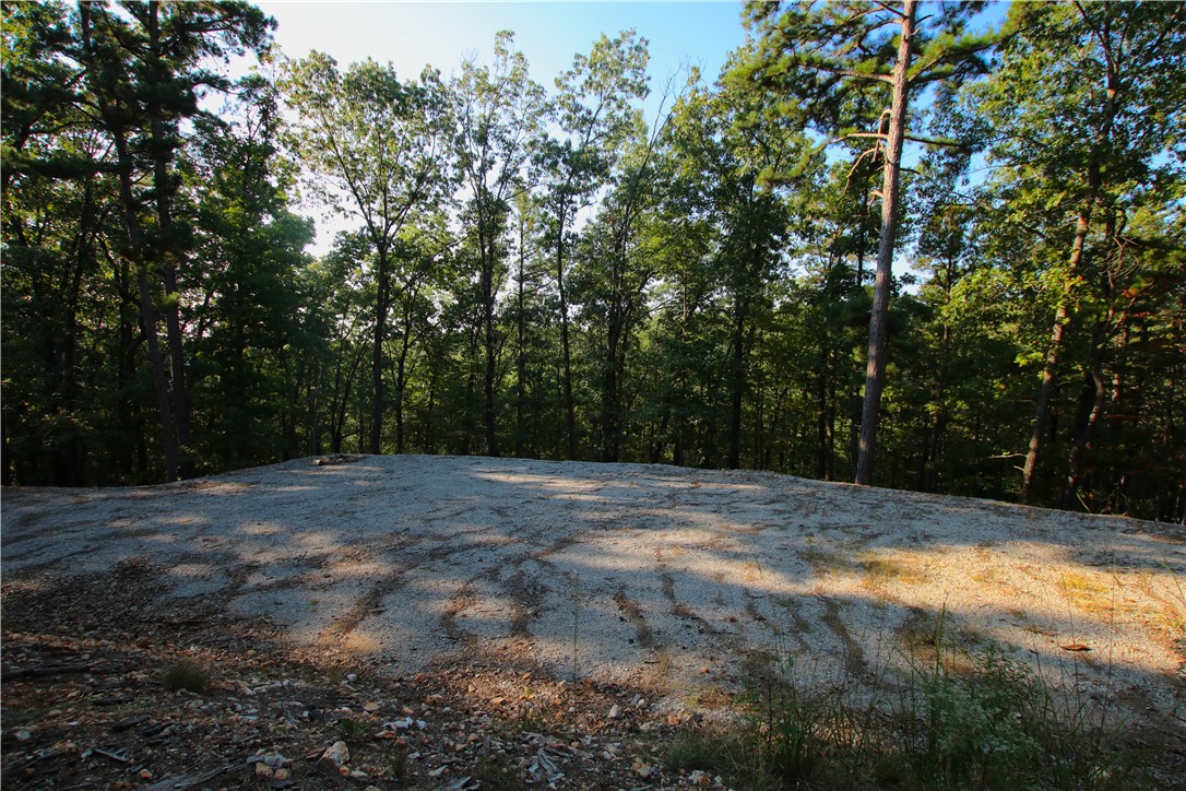 Beaver Lake Dev - Land
