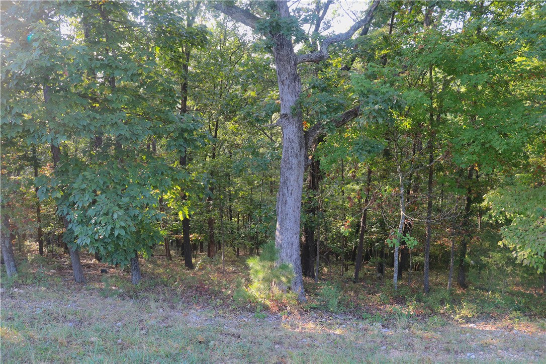 Beaver Lake Dev - Land