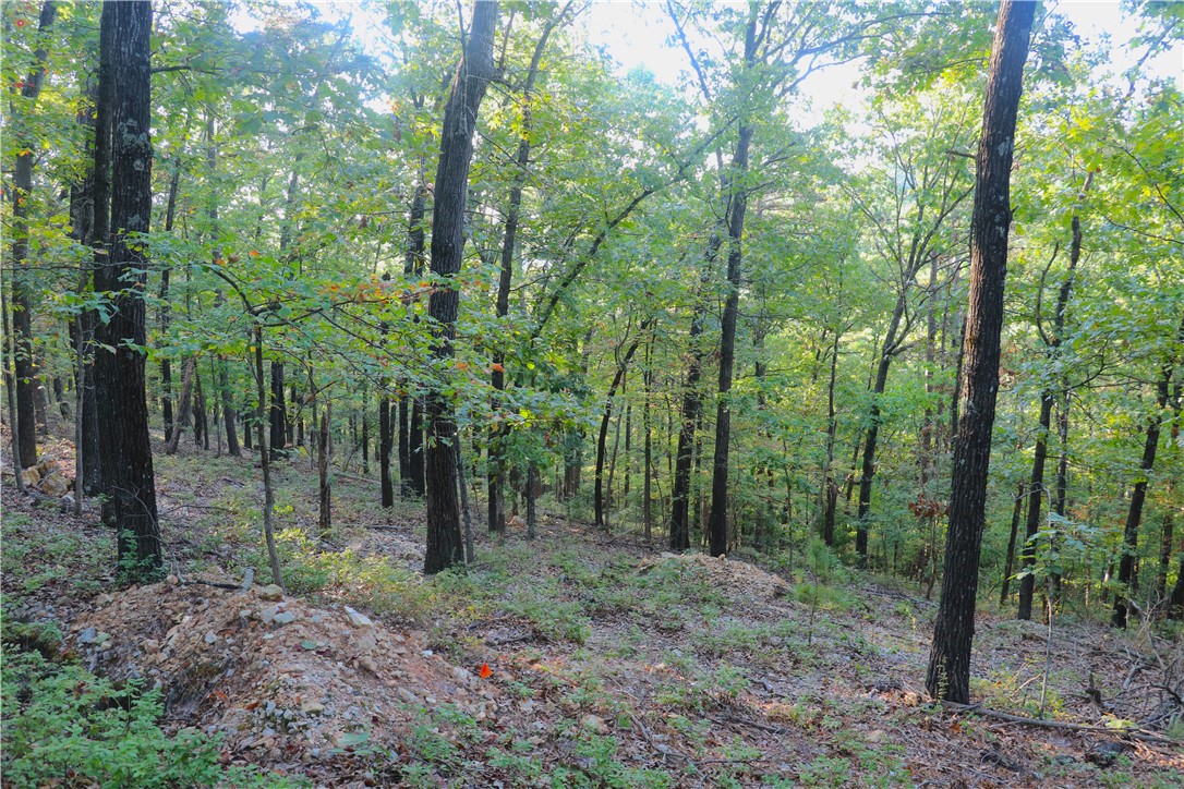 Beaver Lake Dev - Land