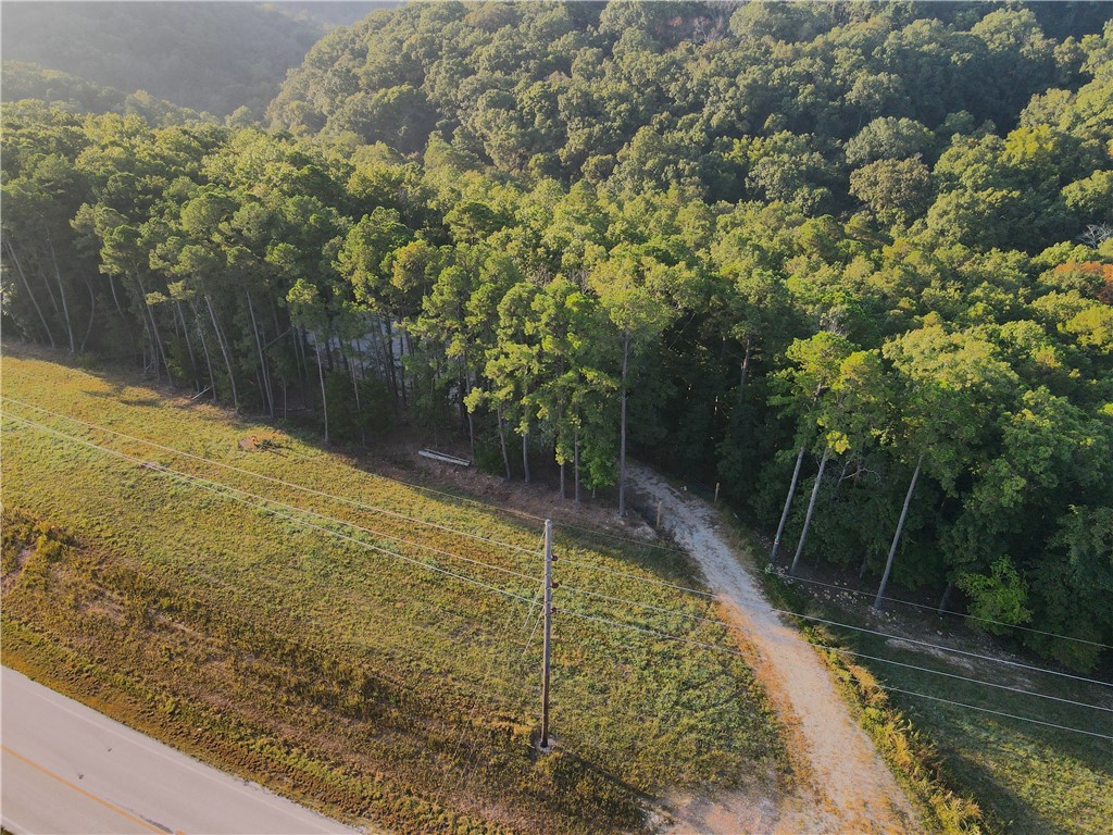 Beaver Lake Dev - Land