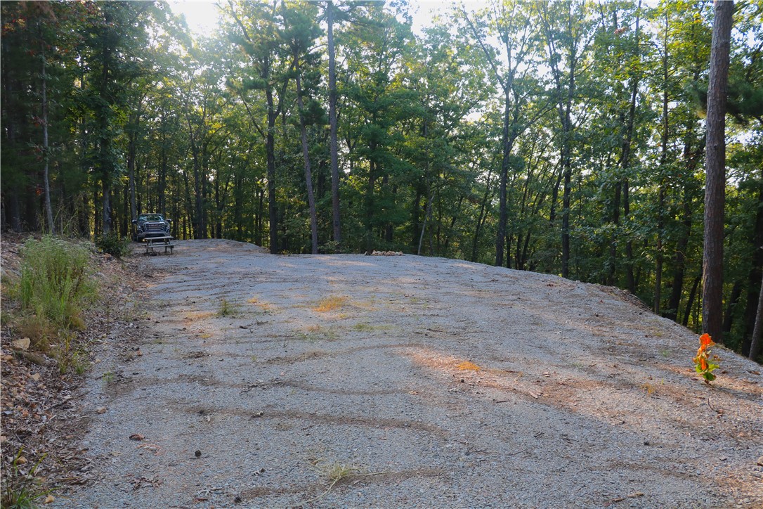 Beaver Lake Dev - Land