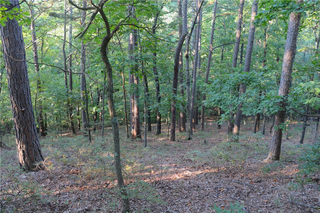 Beaver Lake Dev - Land