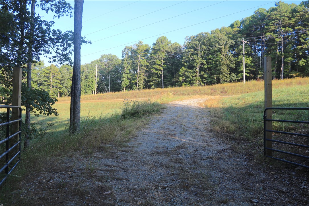 Beaver Lake Dev - Land