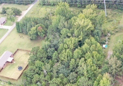 George O Church - Land