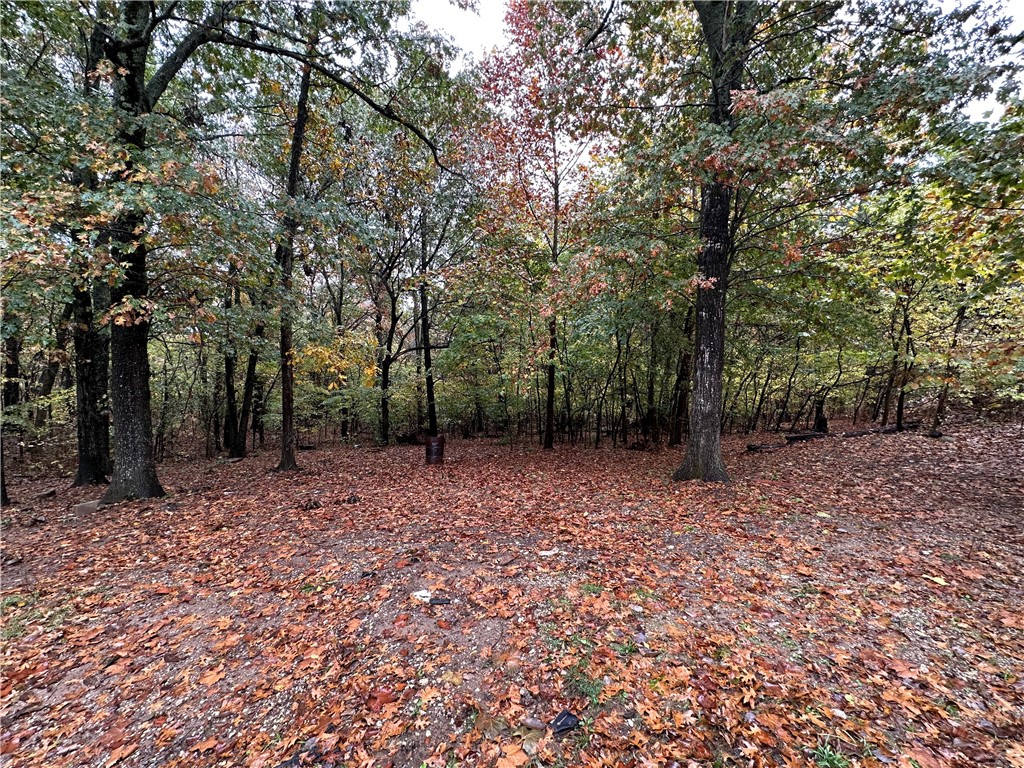 Tony Mountain Sub - Residential