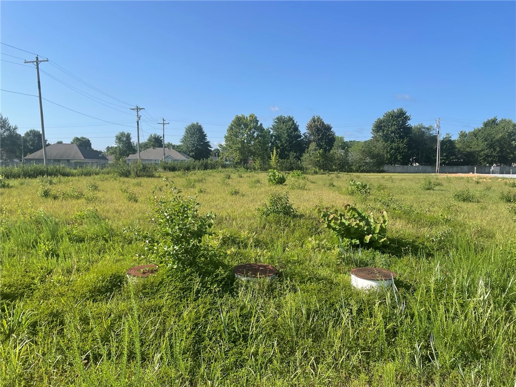 Nice level lot in Elkins with utilities located on property. Agent owned