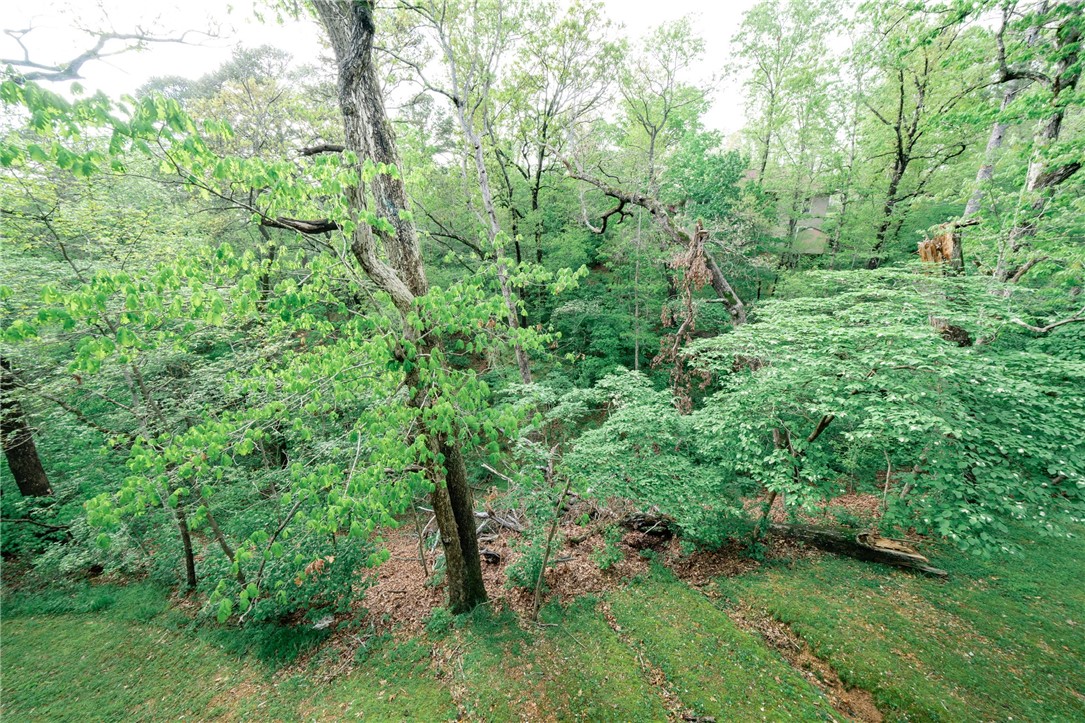 Norwood Courts-BVV - Residential Lease