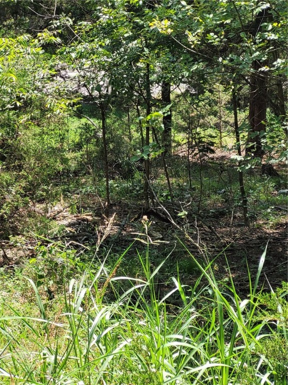 Unit 122 Holiday Island - Land