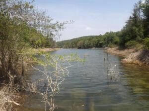 22 acres m/l that joins Corp of Engineer property & would have a nice year round view of Bull Shoals Lake with a little clearing. Nice spring with a seasonal waterfall & a short easy walk from property to lake.