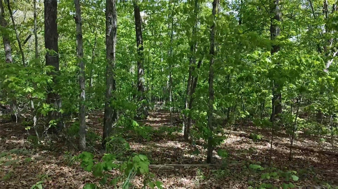 This is a great building lot nestled on a quiet street with mature trees all around. Come enjoy Bella Vista and all of its beautiful amenities. Located right across the street from Branchwood Rec Center. Five minute drive to Stoneykirk Boat Launch. Ten minute drive to Marina.