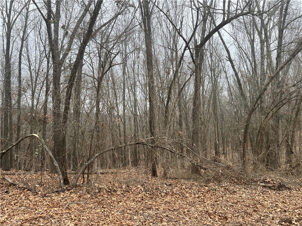 Pretty Views from this property. The land is mostly wooded and has about 30 acres of pasture.