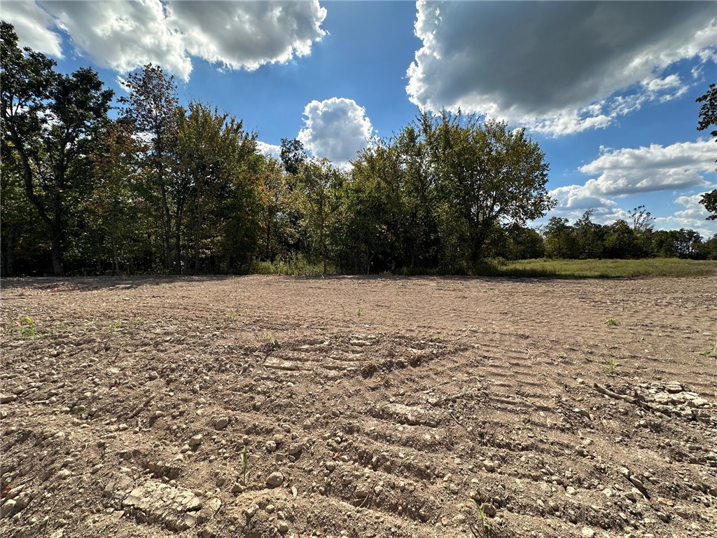 Lot 48 at Blackberry Ridge is a 0.93-acre lot nestled within the natural beauty of Fayetteville. This scenic homesite offers the perfect opportunity to create your dream home. Conveniently located with quick access to I-49, you're only minutes away from Fayetteville's best shopping, dining, and entertainment. Enjoy the community's exclusive amenities, including a refreshing pool, a welcoming pavilion, and tranquil walking trails through the neighborhood. *Agent Owned*