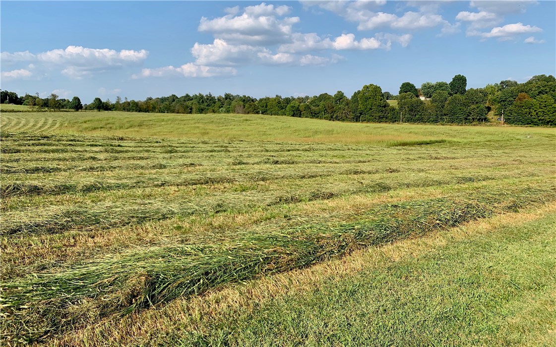 Tontitown Outlots - Land