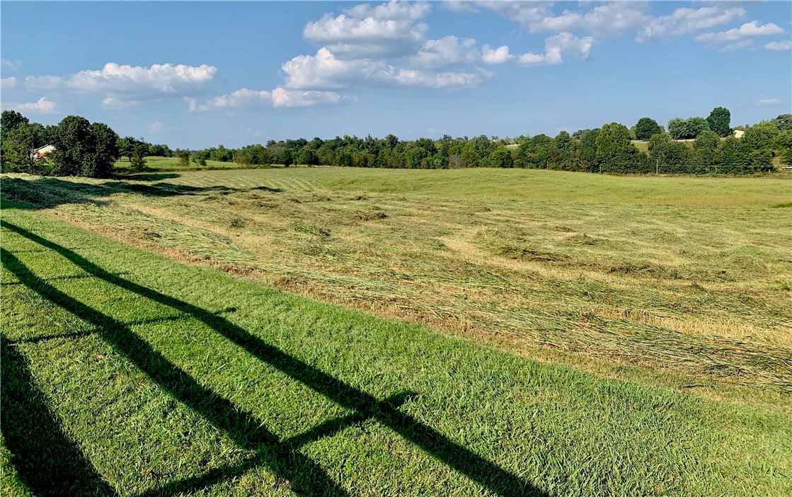 Tontitown Outlots - Land